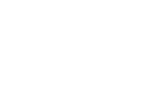 Value Capture White Logo Transparent