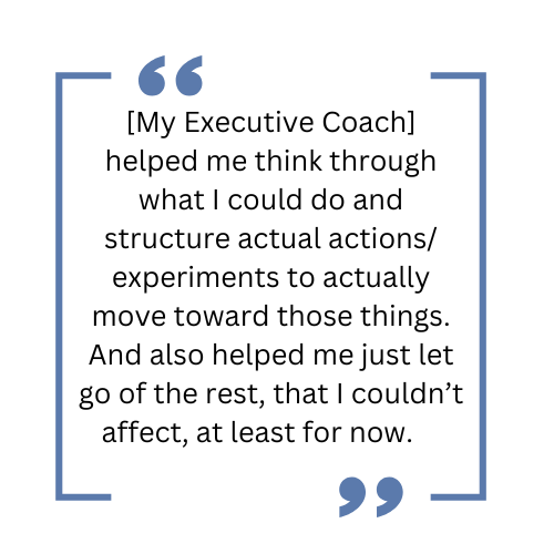 Exec Coaching Testimonial 3 Exec Coaching Testimonial 3